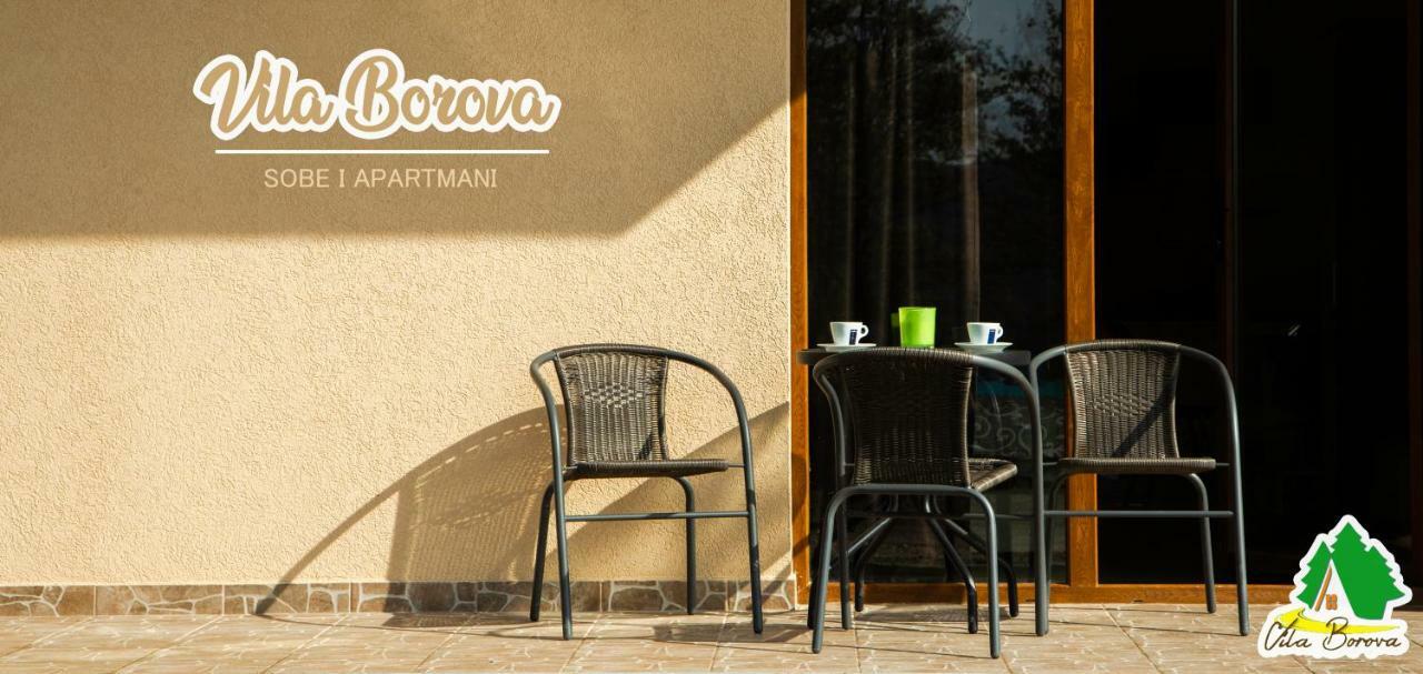 Apartmani Borova 2 Veliko Gradište Zewnętrze zdjęcie